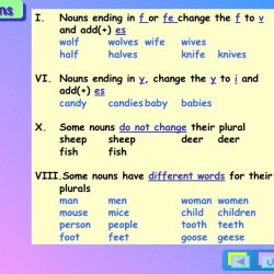 Nouns ending in f or fe