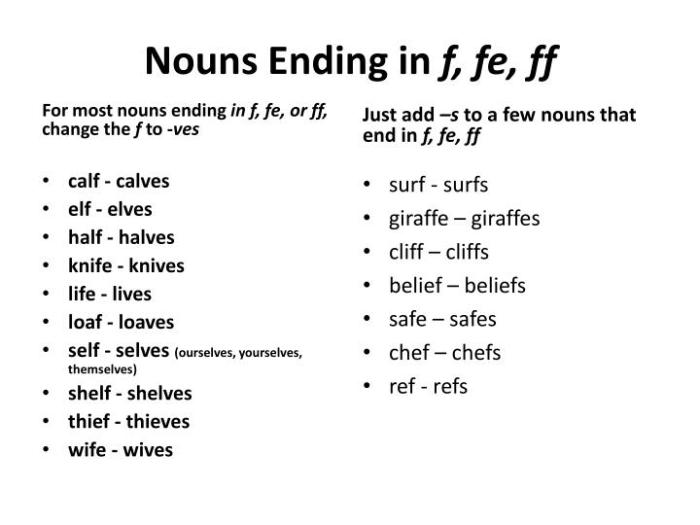 Plural nouns noun ending rule