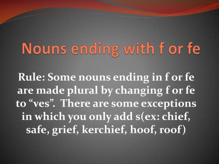 Nouns ending in f or fe