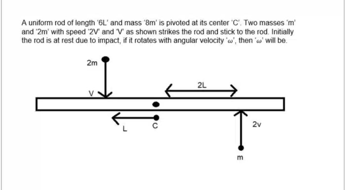 A horizontal spring is lying on a frictionless surface